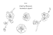 Lisianthus Floral Set, an Object Graphic by VictoriaKStudio (Thumbnail 2 of 5)