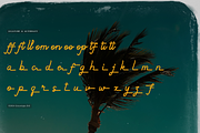 Paradise Gallaiso | Monoline Script, a Script Font by gracetype_studio (Thumbnail 11 of 12)