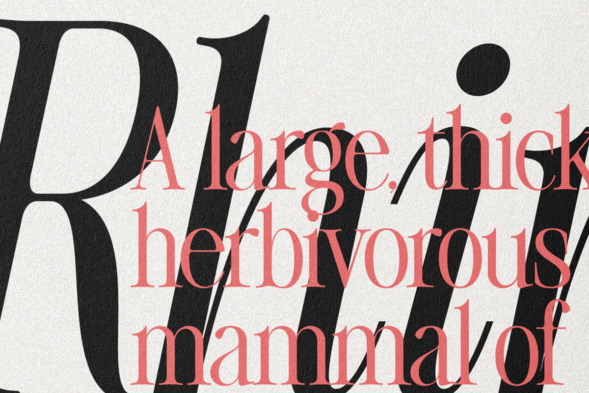 The Silver Editorial Serif Font, a Serif Font by SilverStag Type Foundry (Photo 19 of 25)