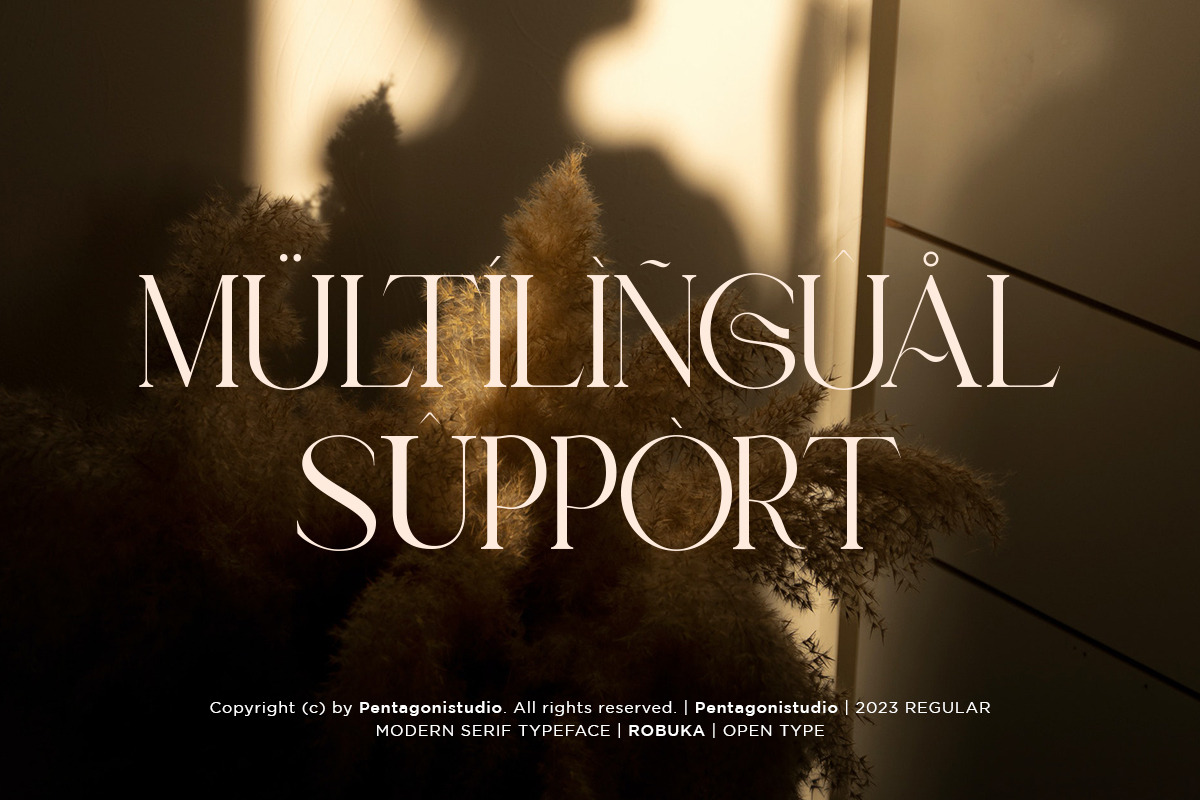 Robuka | Modern Serif Font, a Serif Font by Pentagonistudio (Photo 9 of 9)