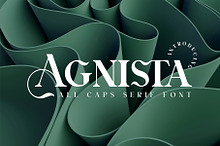 Agnista All Caps Serif Font