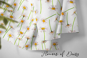 Flowers Of Daisy