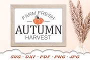 Pumpkin SVG | Autumn Harvest SVG, a Graphic by Cloud9DesignSVG (Thumbnail 3 of 4)