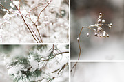 50 % OFF Winter stock photos, a Product Mockup by Nellaino (Thumbnail 3 of 5)