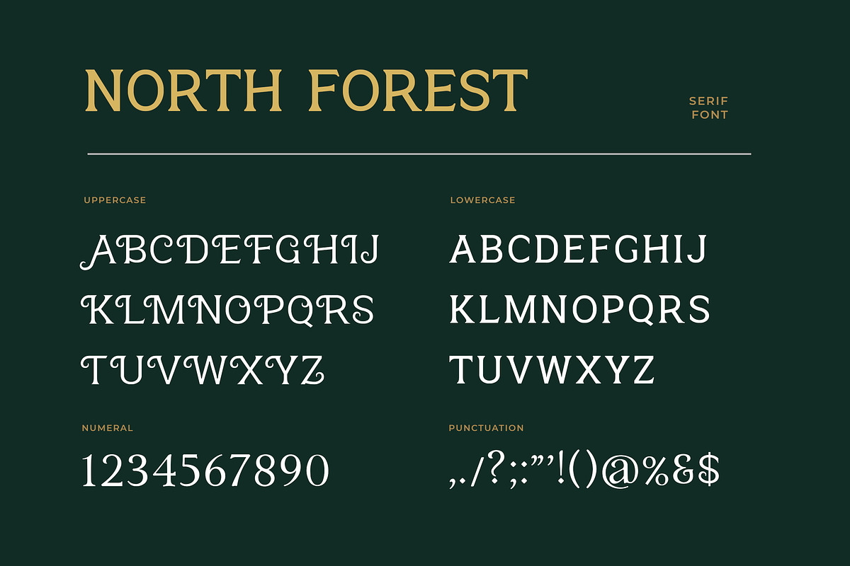 North Forest Vintage Serif Font preview 2