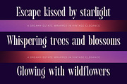 Begosta Modern Display Serif, a Serif Font by timelesstype.co (Thumbnail 4 of 20)