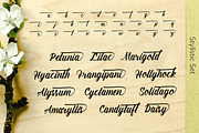 Amiable Forsythia Font, a Script Font by Letterhanna Studio (Thumbnail 16 of 19)