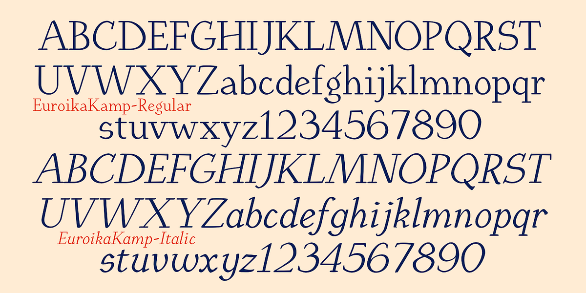 EuroikaKamp, a Serif Font by Ingrimayne Type (Photo 8 of 11)