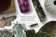 There Be Witches Scene Creator, a Nature Photo by Mockup Scene (Thumbnail 10 of 11)