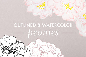 Outlined & Watercolor Peonies, an Illustration by sarahnuzum