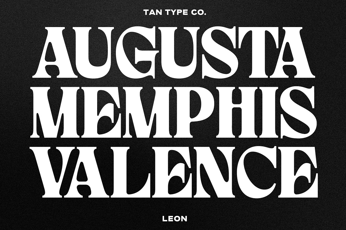 TAN - LEON, a Serif Font by TanType (Photo 2 of 10)