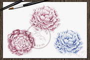 Teddy Watercolor Illustration, a Decorative Illustration by DioFlow (Thumbnail 6 of 6)