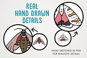 Moths of the World Illustration, an Illustration by Lemonade Pixel (Thumbnail 5 of 7)