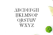 Janecia Serif 3 Font Family Pack, a Serif Font by Creativetacos (Thumbnail 2 of 6)