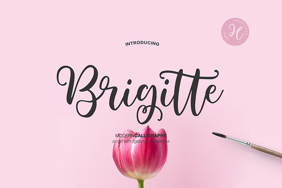 BRIGITTE SCRIPT preview 8