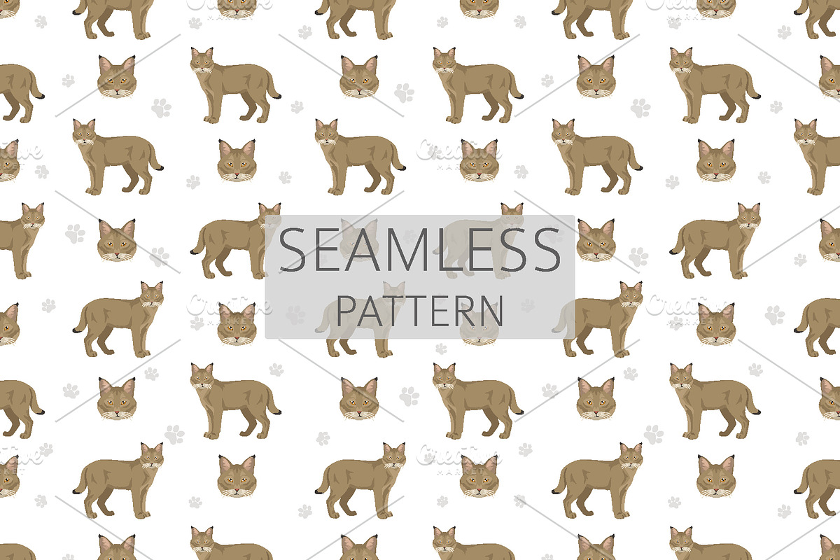 European wild cats clipart, an Animal Illustration by pet design shop (Photo 10 of 10)