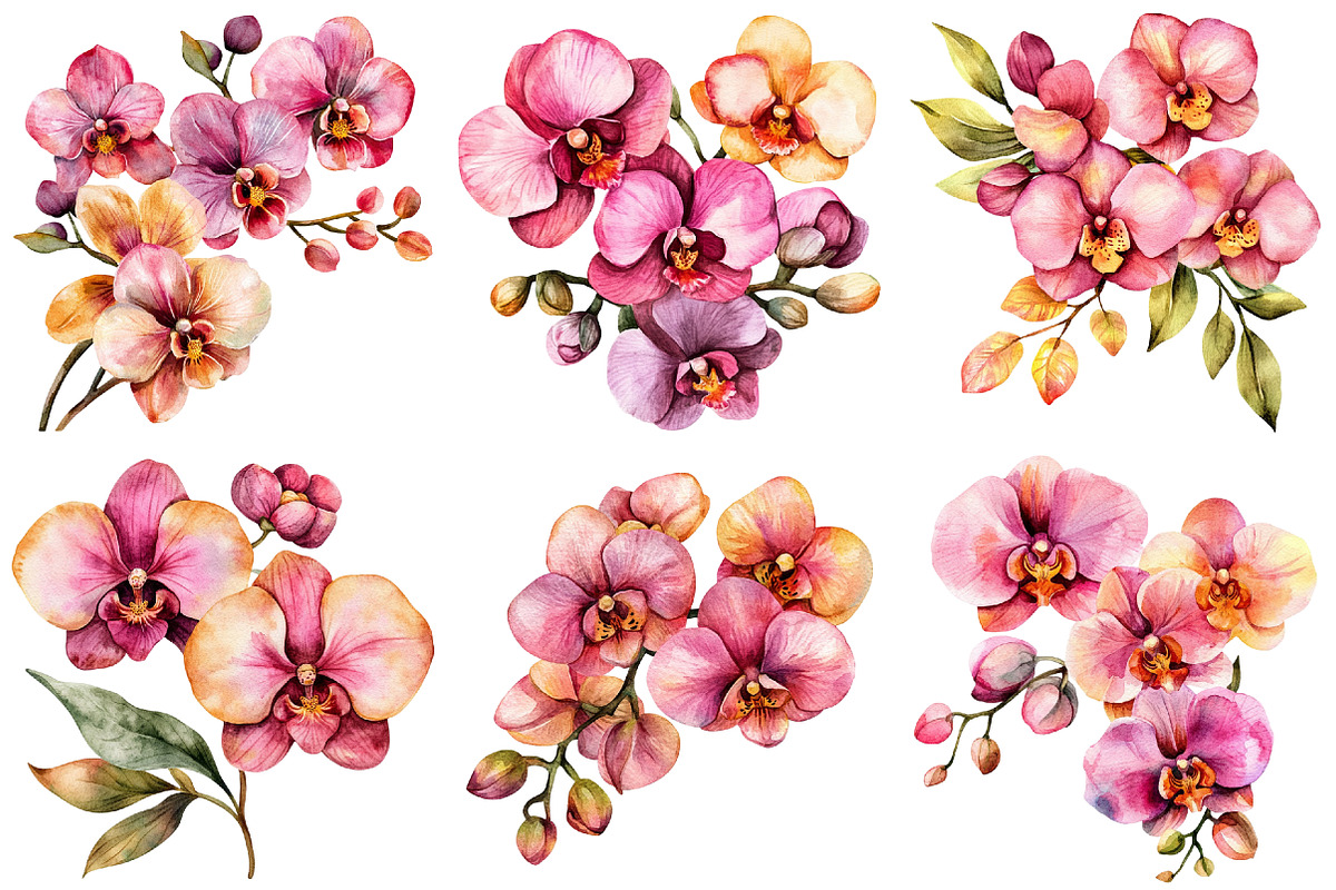 Watercolor Pink Orchid Clipart, an Illustration by Craft Nest (Photo 10 of 12)