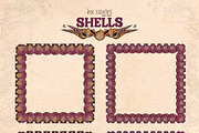 Shells, an Animal Illustration by Ink Stories (Thumbnail 14 of 21)