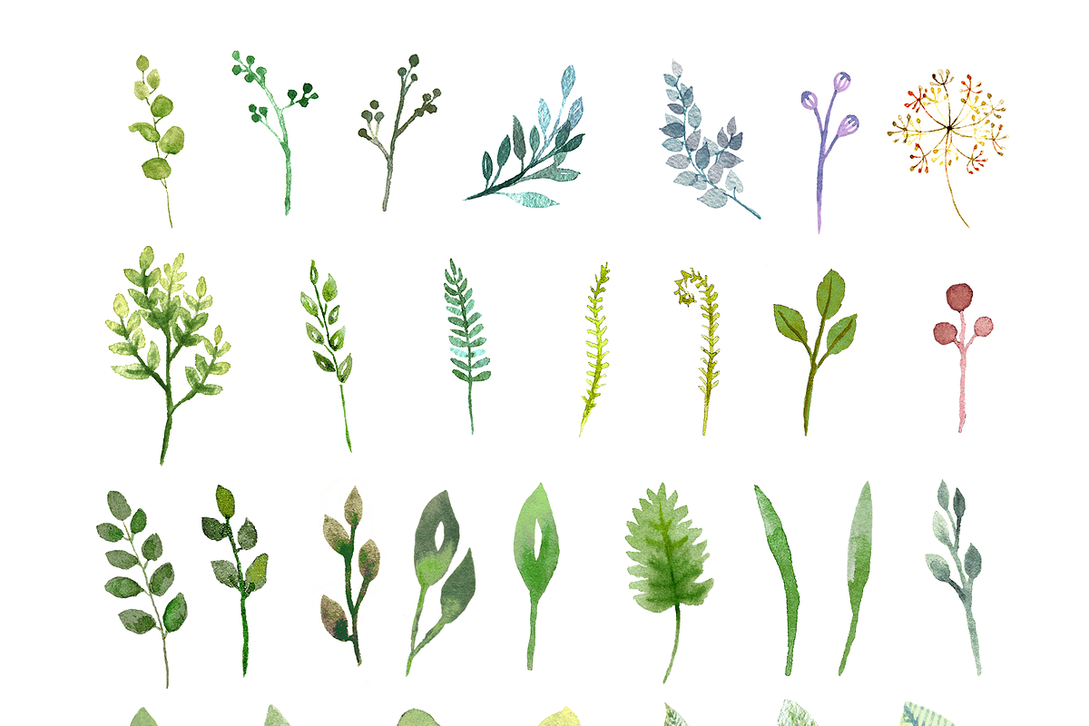 Watercolor Summer Meadow, an Illustration by SophieLittleEye (Photo 3 of 7)