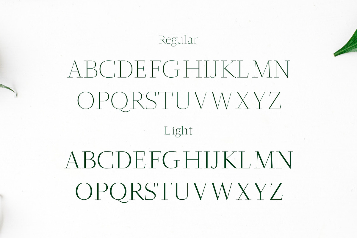 Jesusa Serif Font Family Pack preview 2