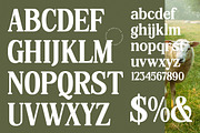 Hasbor Modern Alternate Serif Font, a Serif Font by AmorfaType (Thumbnail 10 of 11)