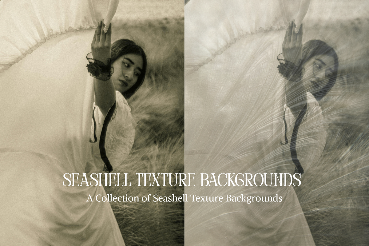 Seashell Texture Backgrounds, a Background Graphic by youtoview (Photo 4 of 12)