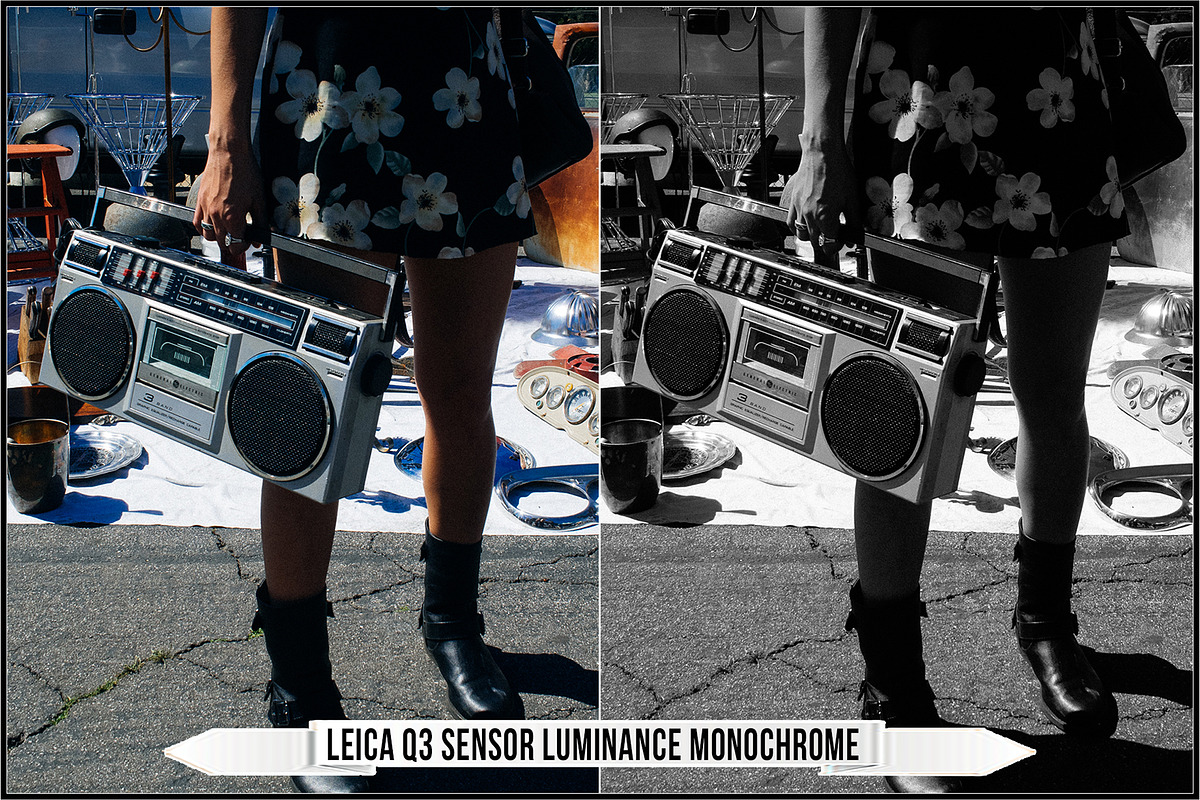 Leica Colors & Sensor Luminance, a Plug-in Add-On by Raztrend (Photo 5 of 29)