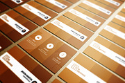 Prime Business Card, a Business Card Template by bouncy (Thumbnail 1 of 4)