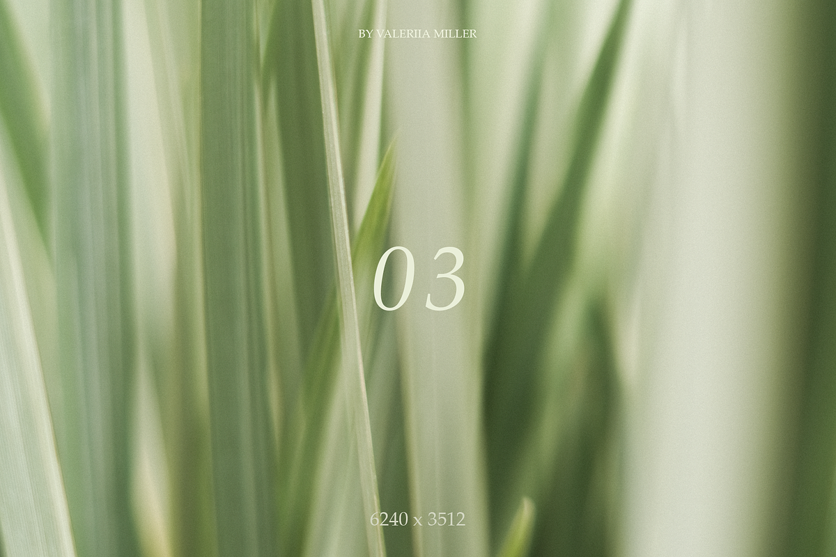 10 NATURAL BACKGROUNDS, a Background Photo by Valeriia Miller (Photo 4 of 11)