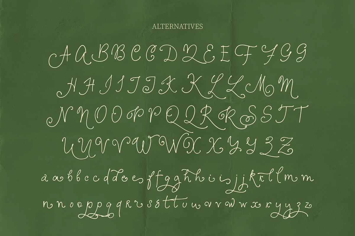 Beautifully Airy Lines Font, a Script Font by AnnArt (Photo 11 of 13)