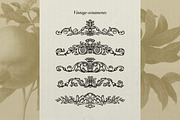 OrnamentalGarden  Frames&Ornaments, a Decorative Illustration by heyXeni (Thumbnail 3 of 11)