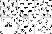 Wild Animals 3, an Animal Illustration by Ecaterina Sciuchina (Thumbnail 5 of 5)