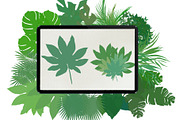Palm leaves brushes for Procreate, a Brush Add-On by AnastasiyaOleynik (Thumbnail 6 of 12)