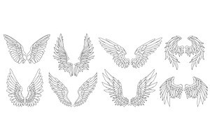 Set of angel or bird wing. Vector, an Animal Illustration by Elegant Solution