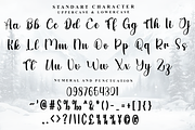 Gate Away, a Handwritten Font by FreshTypeINK (Thumbnail 6 of 7)