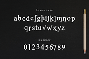 Boxyta, a Serif Font by almazstudio (Thumbnail 9 of 10)