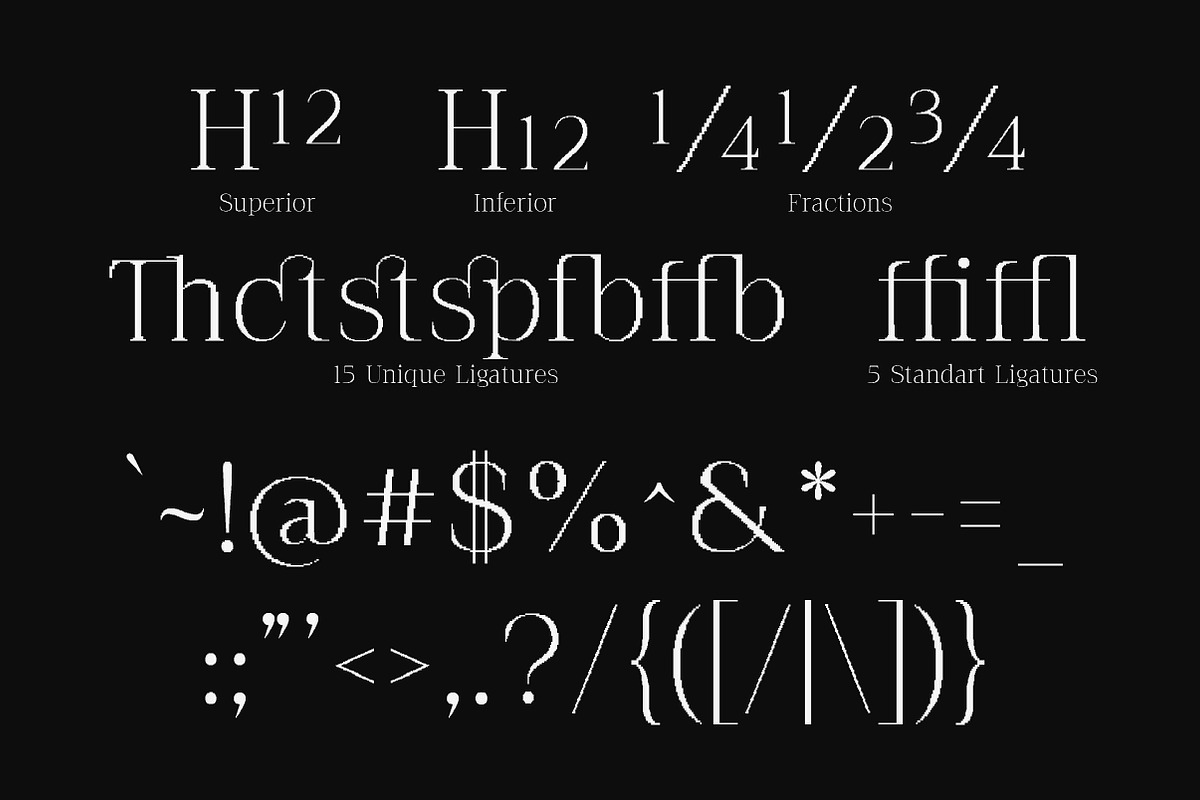 The Pixel Editorial – Modern Serif, a Sans Serif Font by Lettertype Studio (Photo 10 of 15)