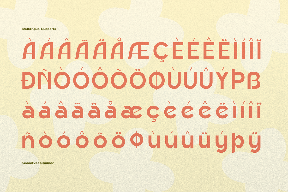 Nemilar | Display Sans Serif, a Font by gracetype_studio (Photo 12 of 12)