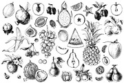 Hand drawn fruits and berries, an Object Graphic by handsketched (Thumbnail 8 of 14)