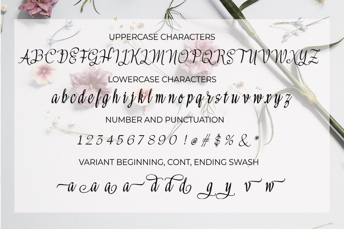 Meikayla script preview 6