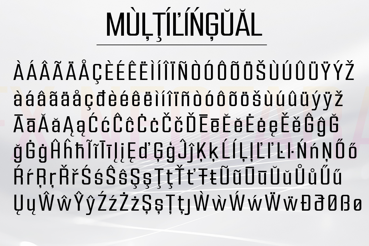 FX Neofara, a Sans Serif Font by Differentialtype (Photo 9 of 10)