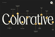 TBJ Palatino San serif With Serif, a Serif Font by Taboja Studio (Thumbnail 7 of 26)