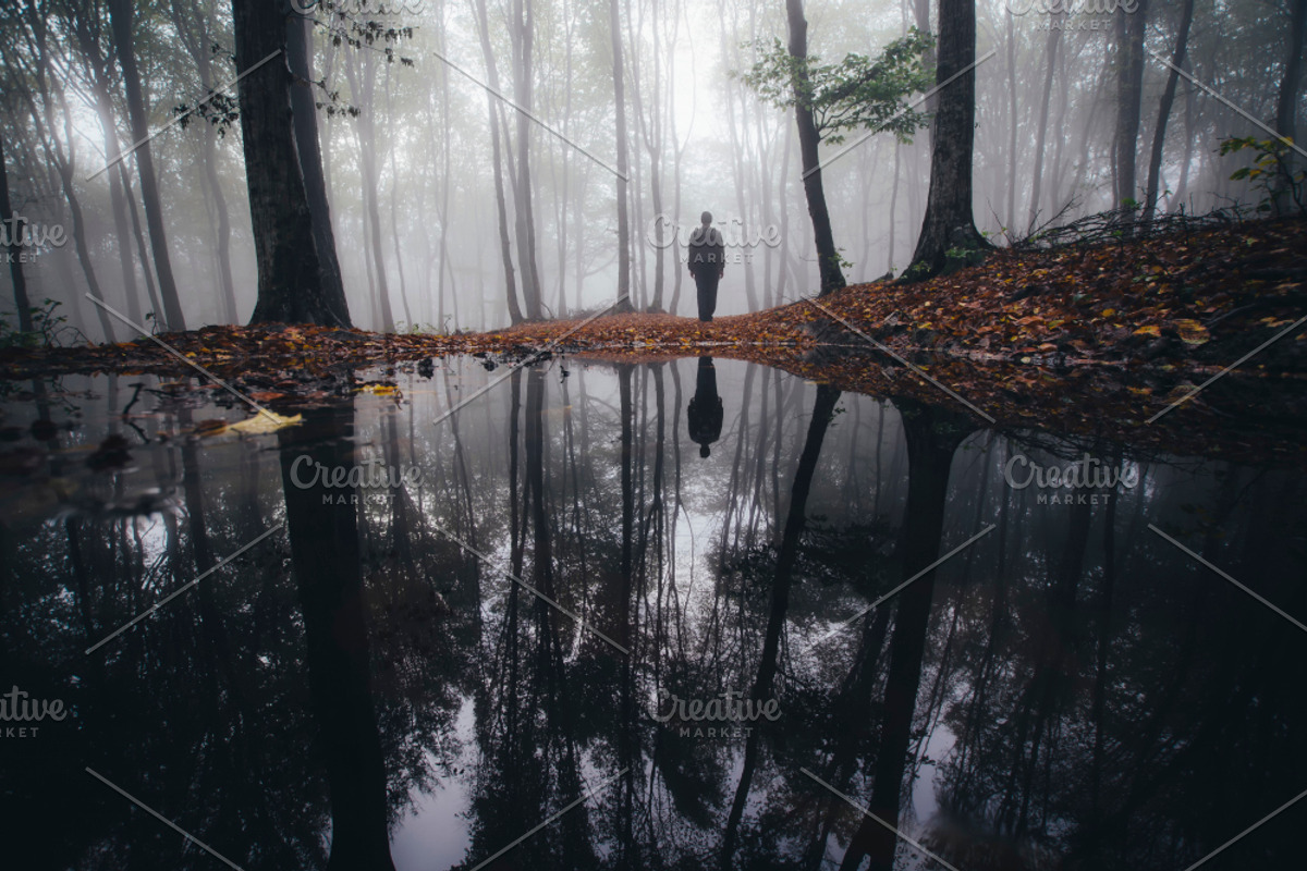 Haunted Halloween Forest Pack 1, a Holiday Photo by Atmospheric visuals (Photo 3 of 6)