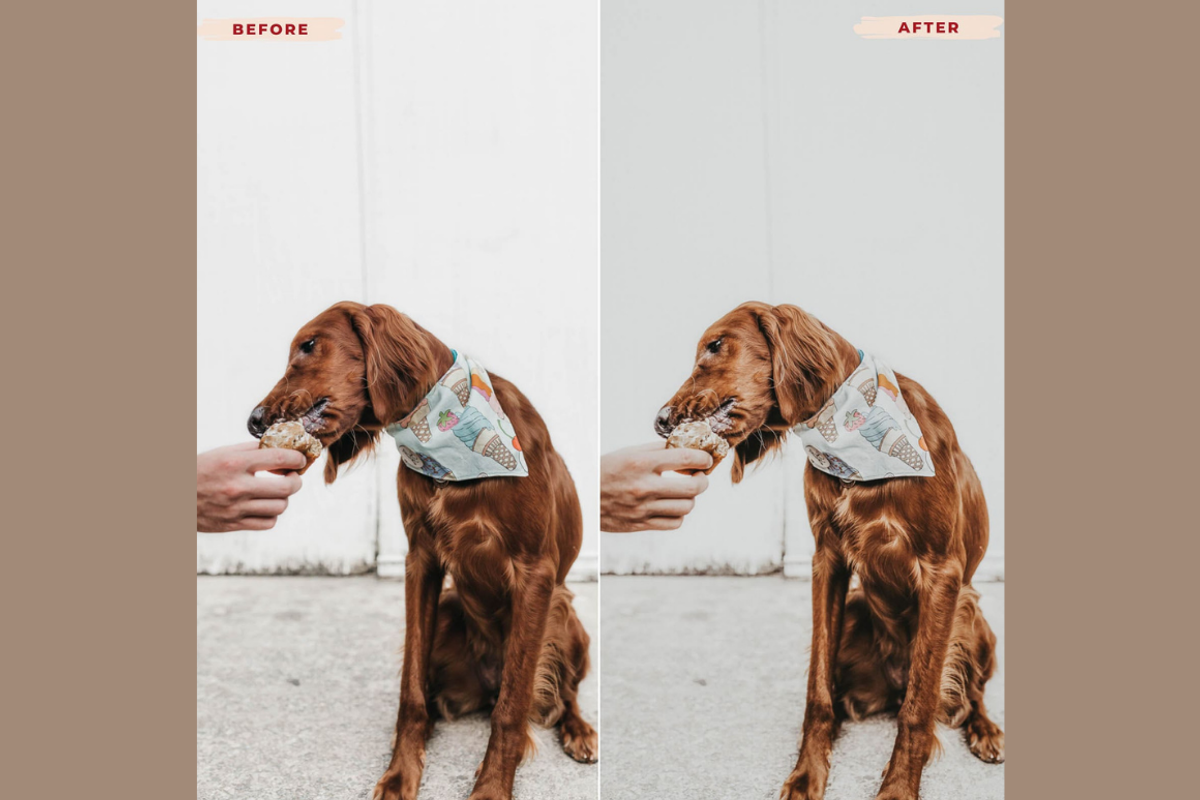 ALMOND Mobile Lightroom Presets preview 2