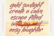 Dummy Catidays Handwritten Brush, a Script Font by Letterena Studios Script (Thumbnail 13 of 20)
