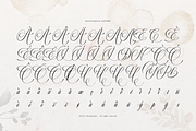 Miss Roderick | Wedding Calligraphy, a Script Font by Denustudios (Thumbnail 11 of 12)
