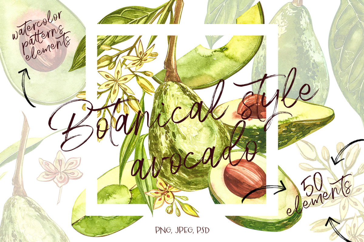 Avocado in botanical style, a Food Illustration by Ann Astro (Photo 10 of 13)