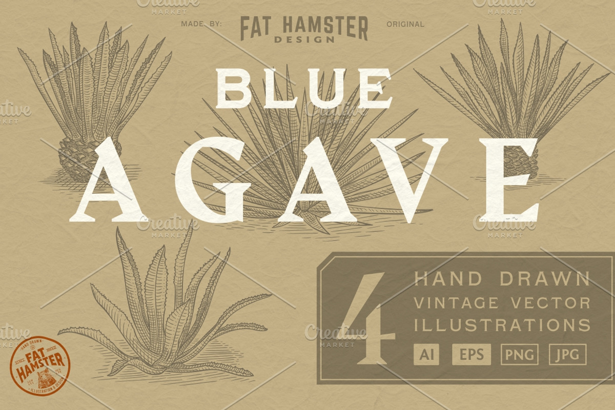 Agave hand drawn vector illustration, an Illustration by Fat Hamster (Photo 1 of 7)