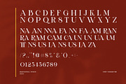 Ramea Elegant Serif Font, a Serif Font by Graphicxell (Thumbnail 8 of 8)