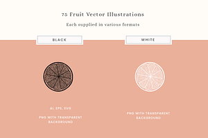 Fruit Salad Vector Illustrations